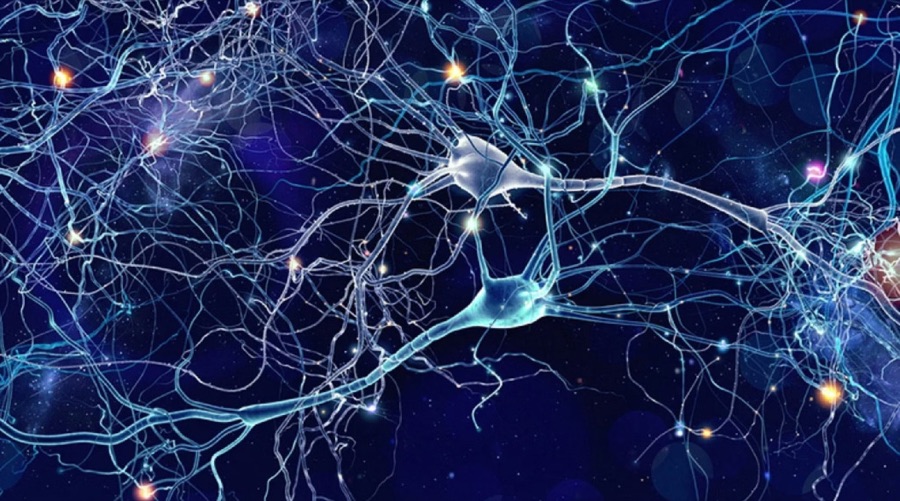 Neuronales Netz